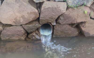 The Impact of Easement Law Reforms: What You Need to Know